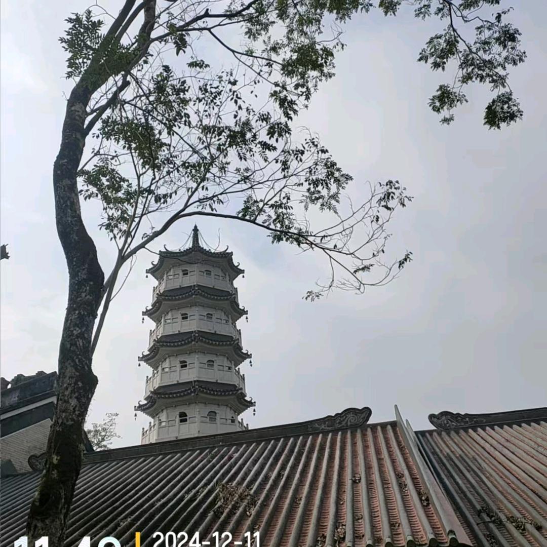 忘忧
