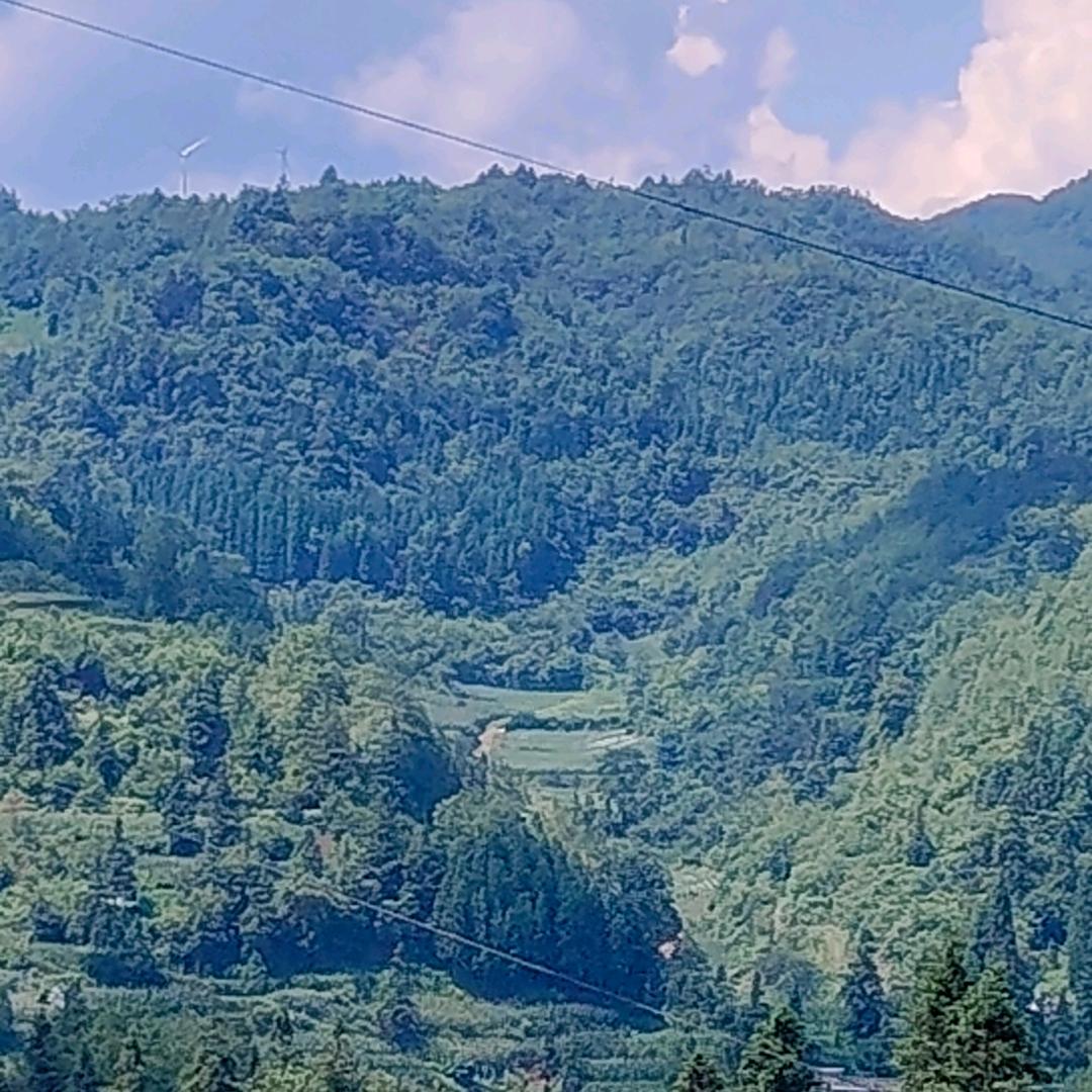 用户833