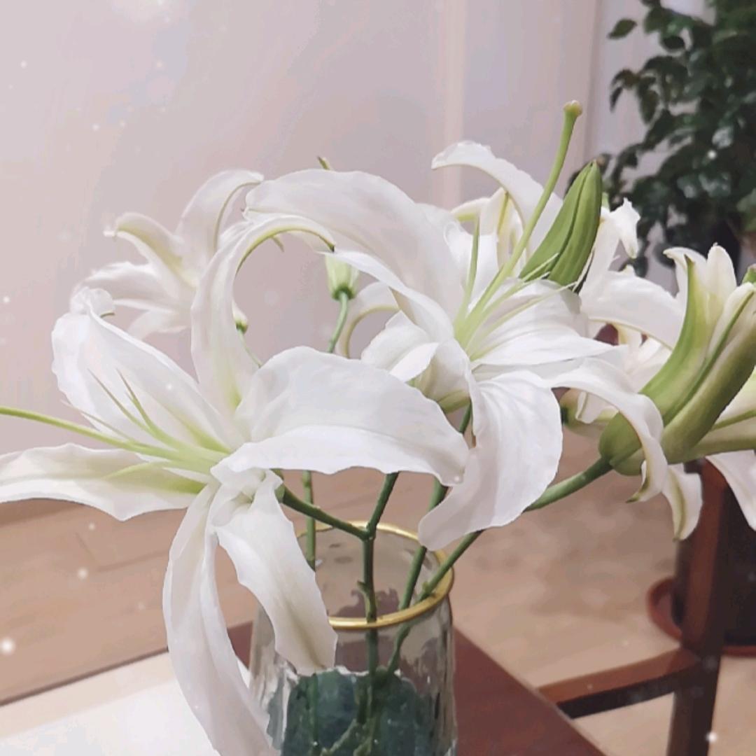 聽韵品香•养生馆