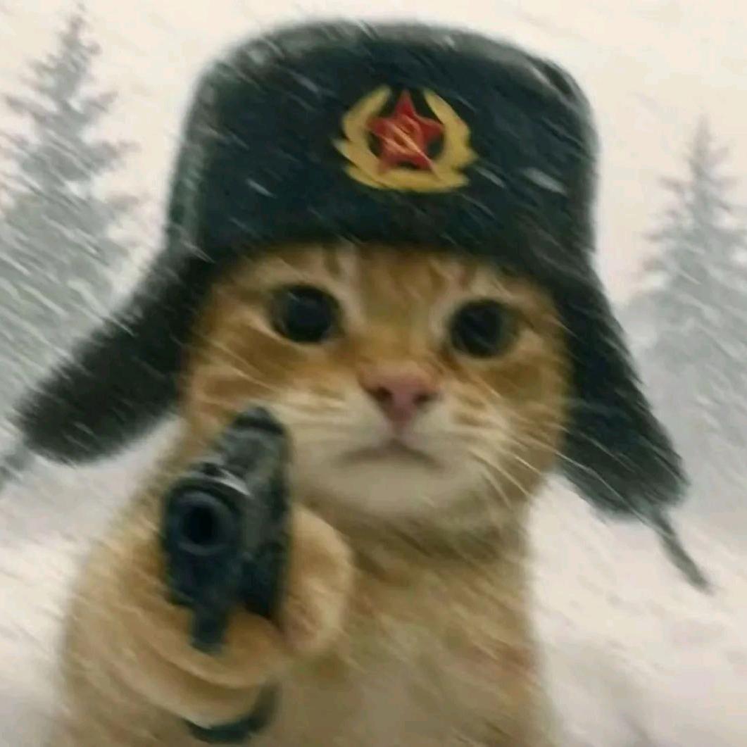 爱喝汽水