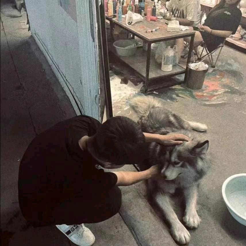还我漂漂拳