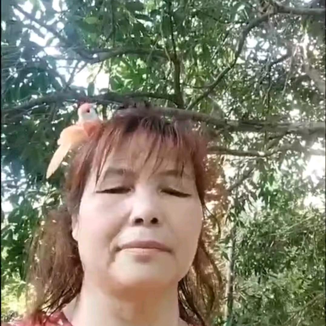笑眯眯讲刨业十聊天🎤