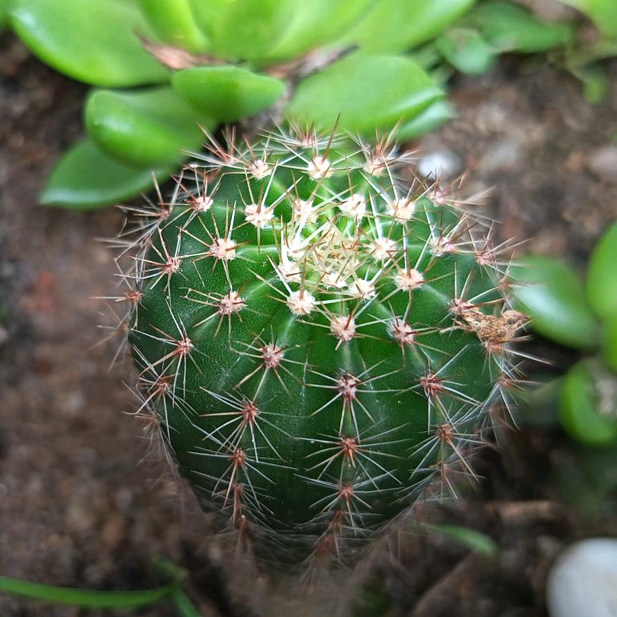 万紫千红
