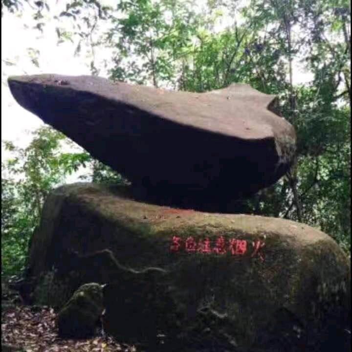 洪哥