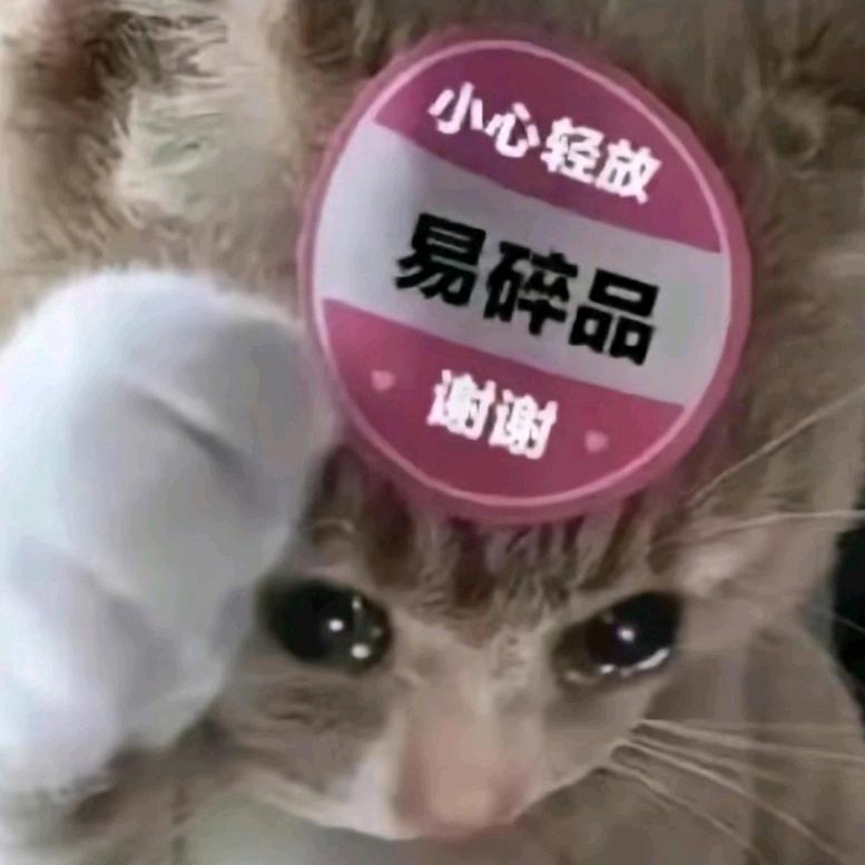 未闻不知梨花香