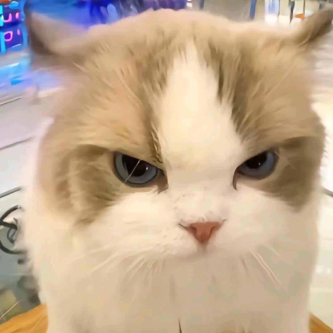 人才