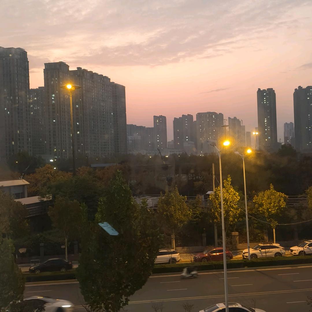 向阳而生.