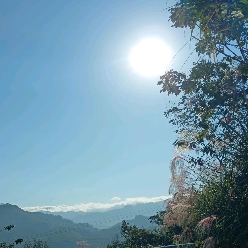 此号即将注销