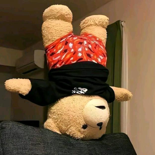 成都猥琐猪头肉😭