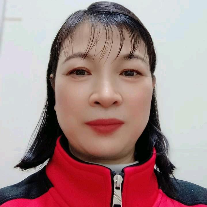 小菊好物178