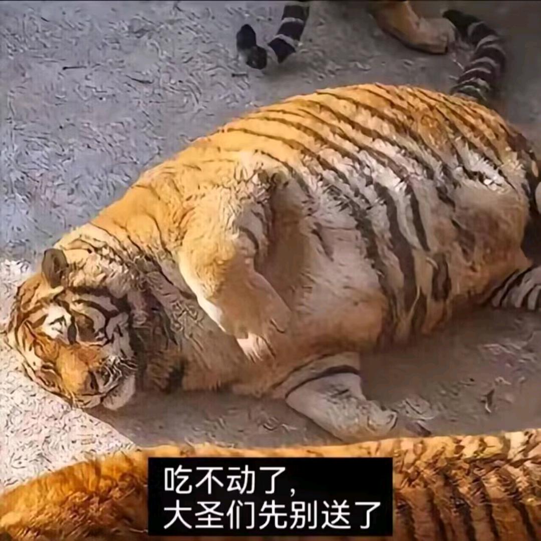 🌈打靶仔🌈🌈🌈