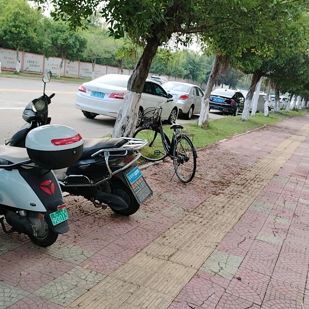 财源广进