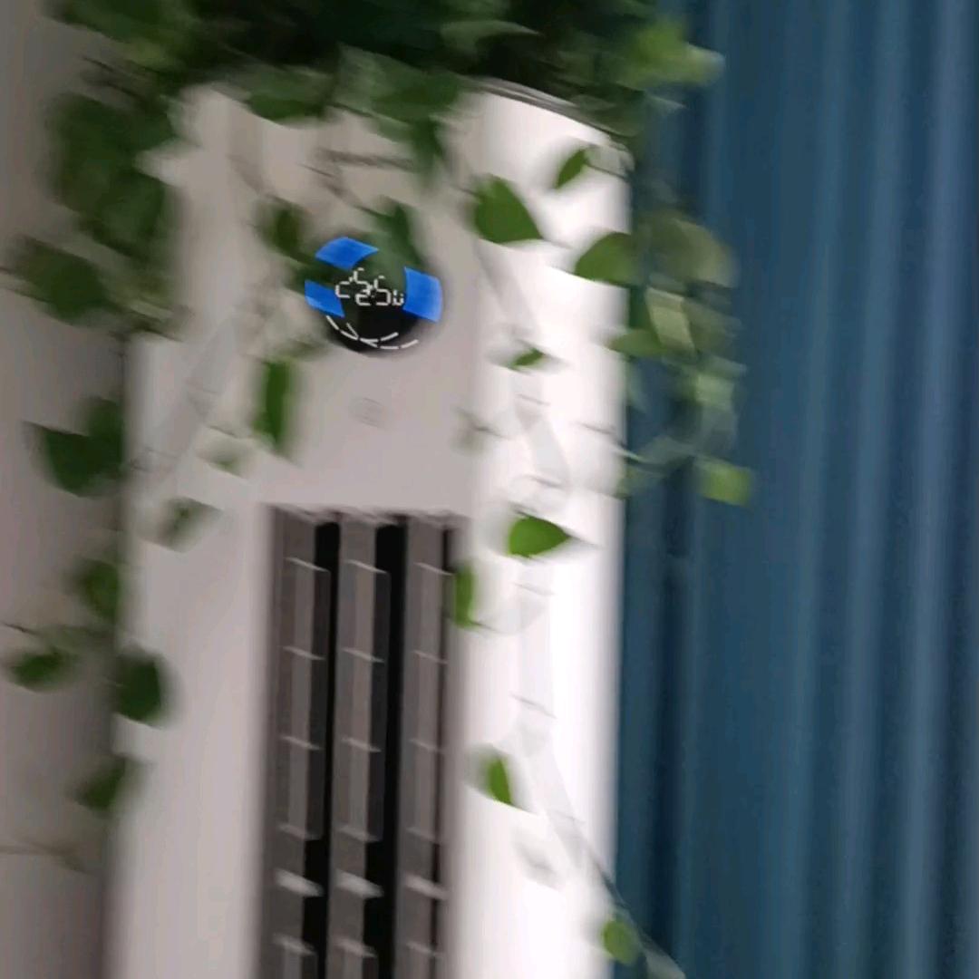 尹碧