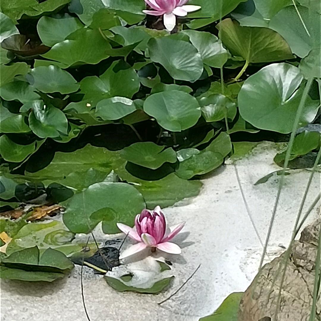 遥远