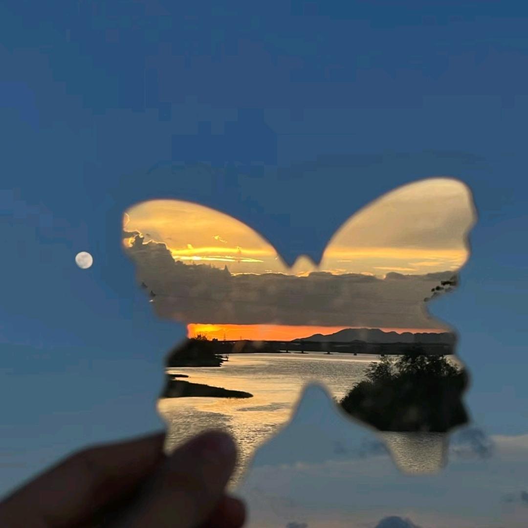 海马