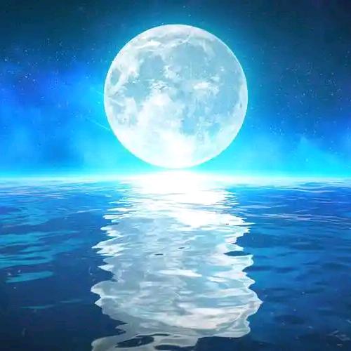 🌈漂*泊*人*生*🌈