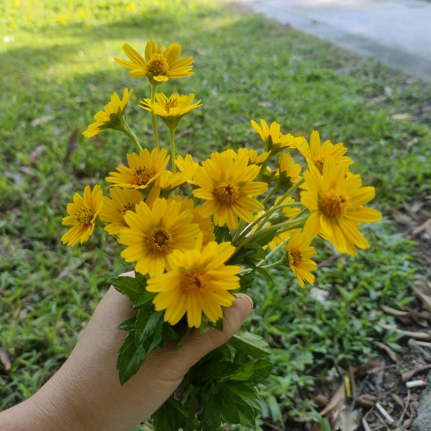 风云淡定我自狂