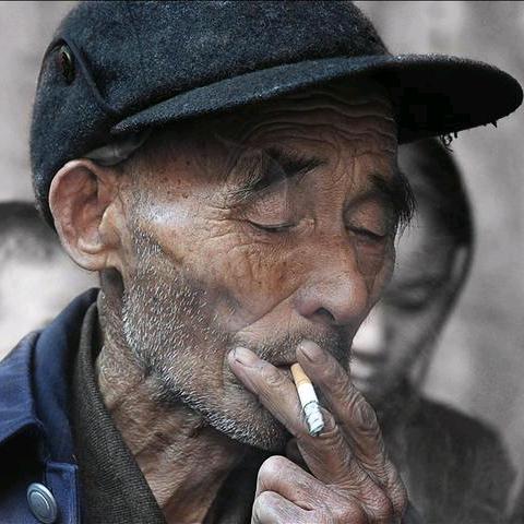 呆抵