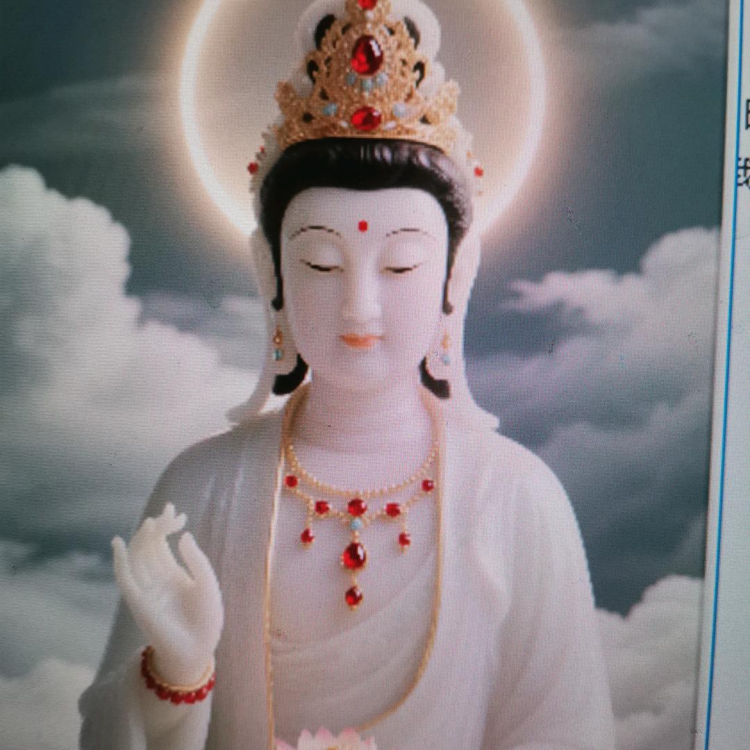 自强的伶俐