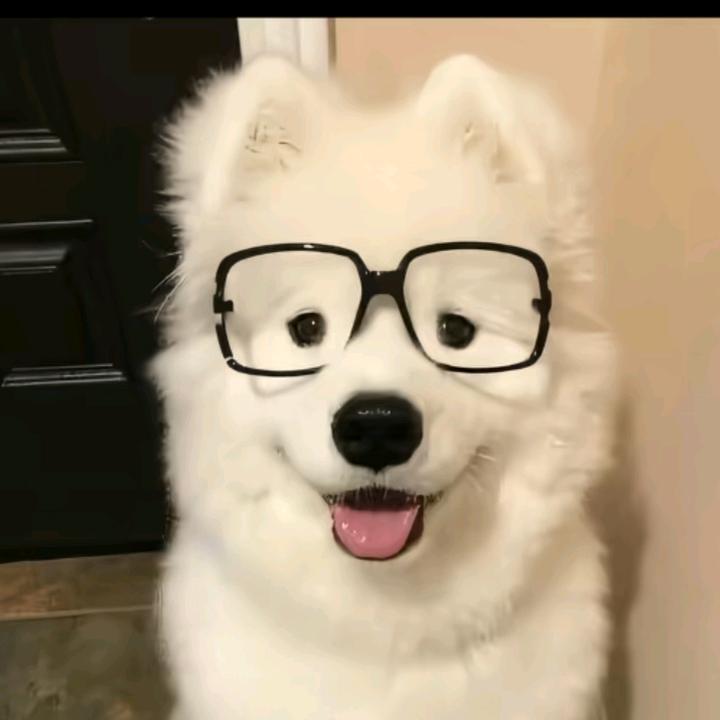 （来杯冰美式）