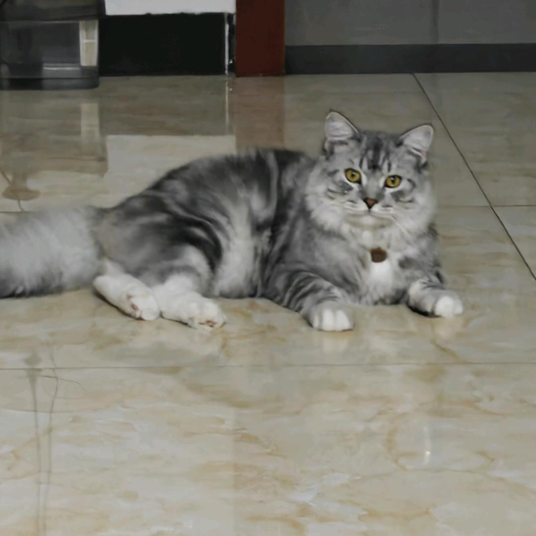 追觅扫地机器人