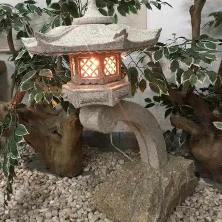 未来可奇