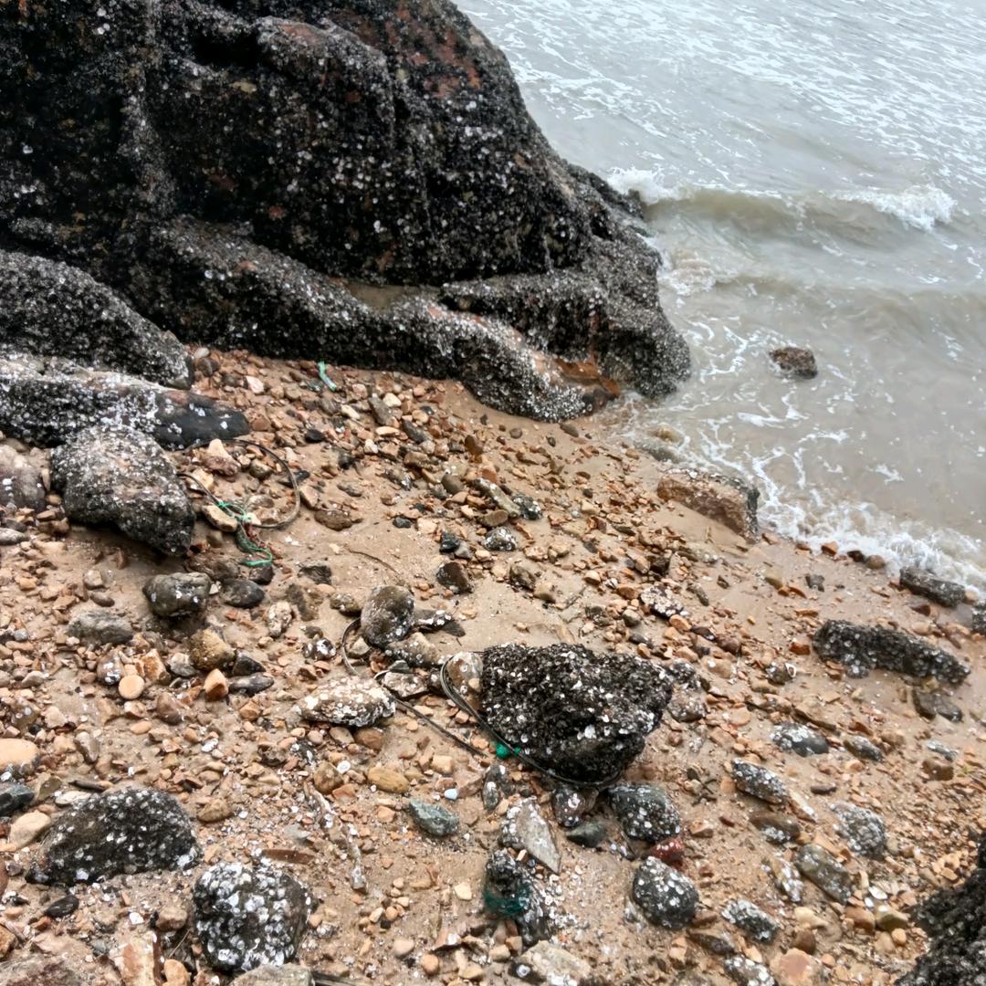 高端原木安装陈