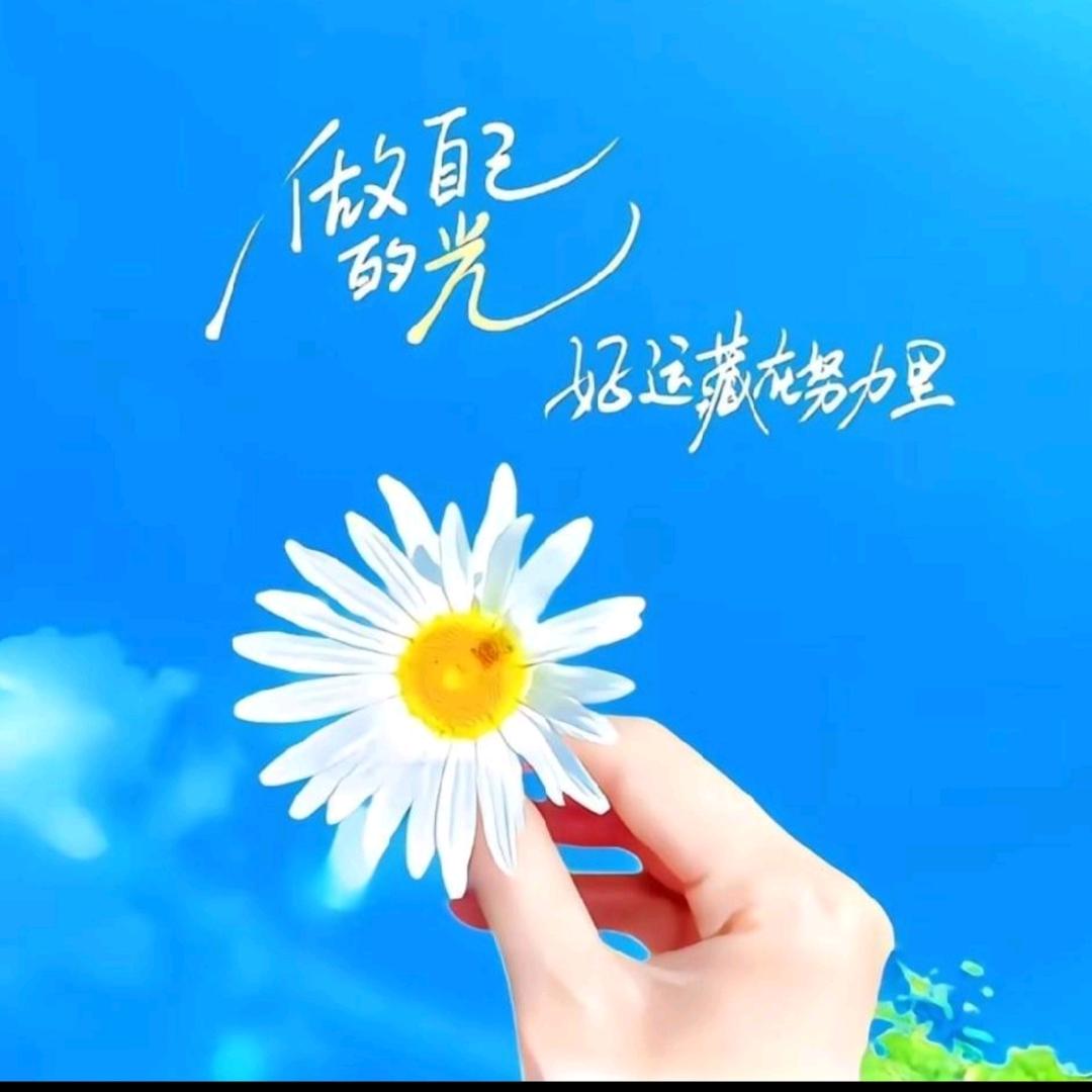 张家小姐