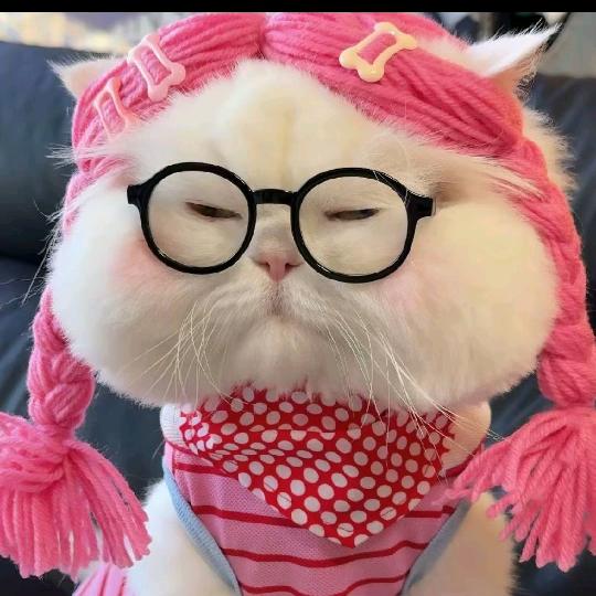 🌈龚的起⁹²⁷⁶