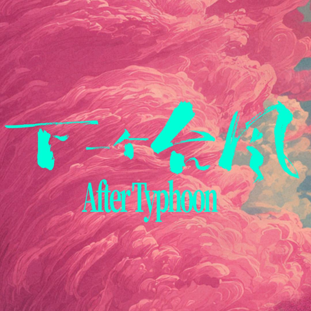 电影下一个台风