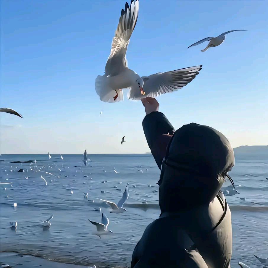 _(对不起打扰了)