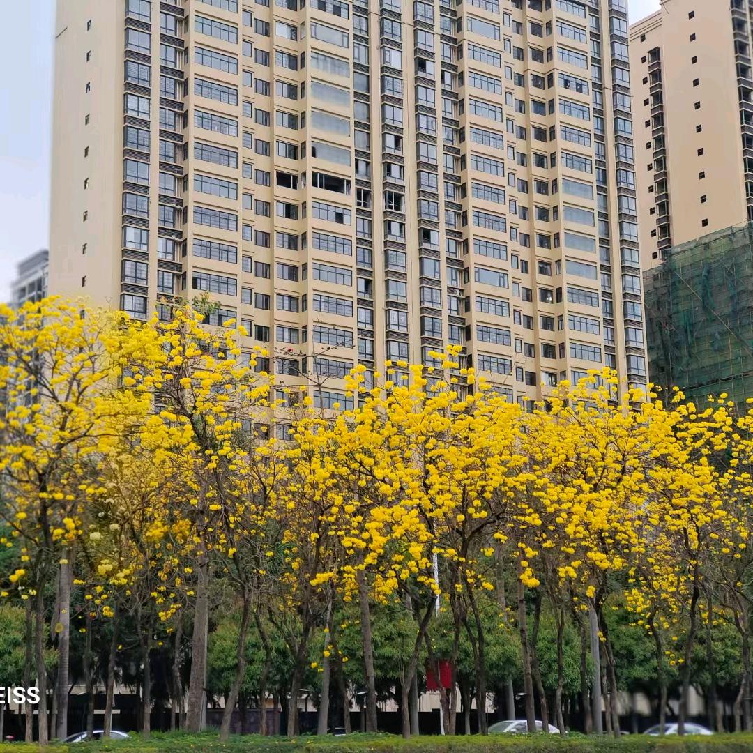 心酸纵有千万种，沉默不语最难过