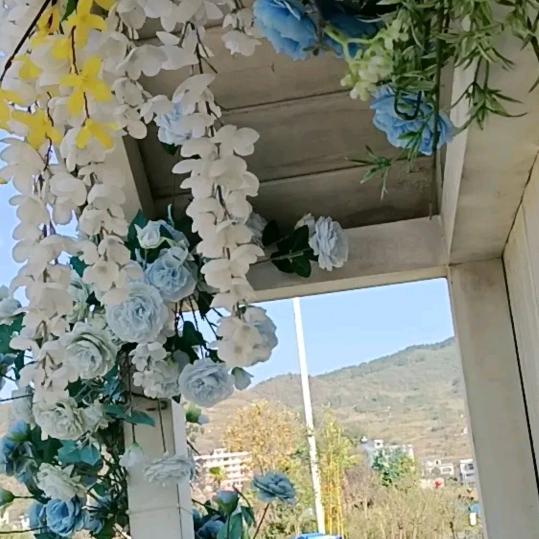 马路河贺家酒坊yang莽莽