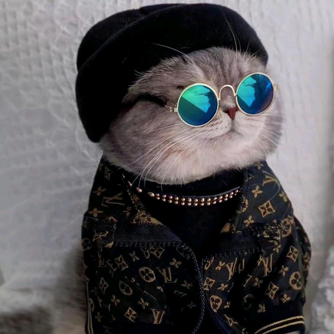 老人妇女孩子先走