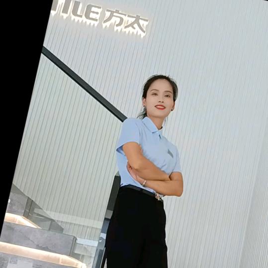 平果马可波罗瓷砖燕子