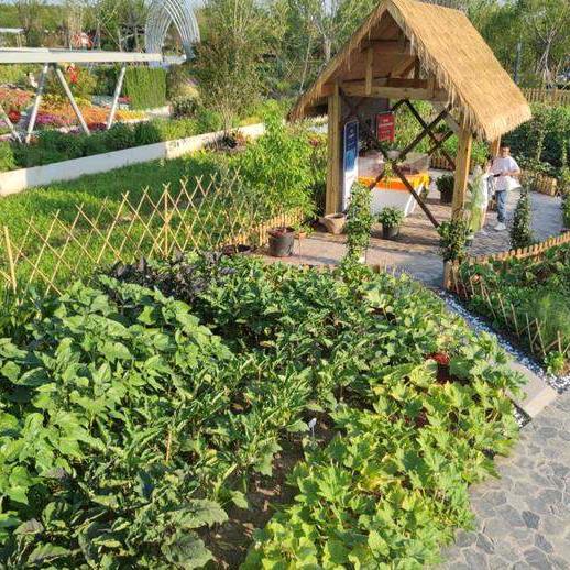 绿野小舍共享菜园