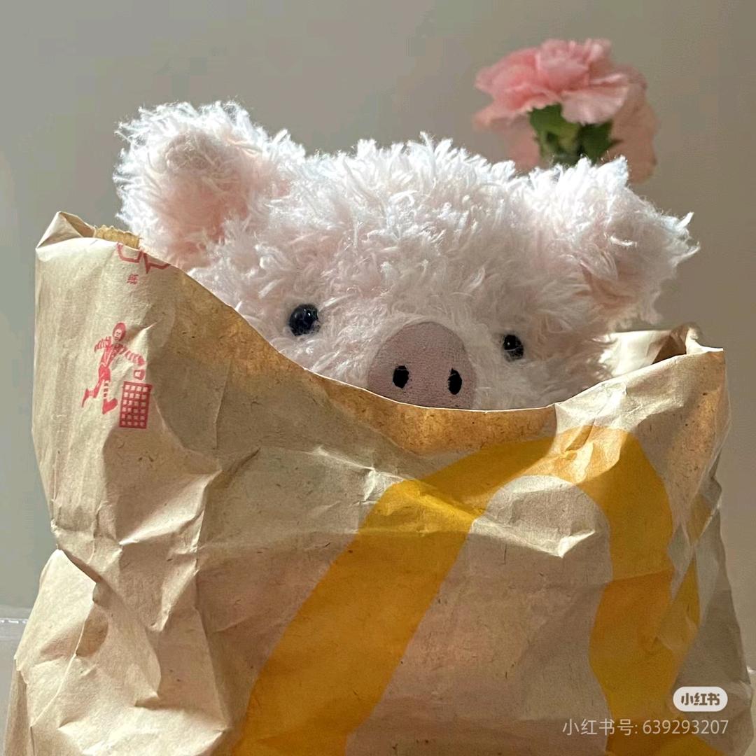 小猪睡不醒