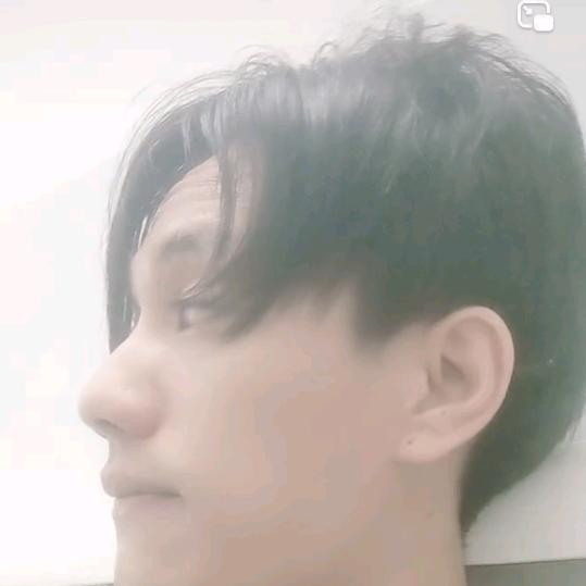 黄假驹…