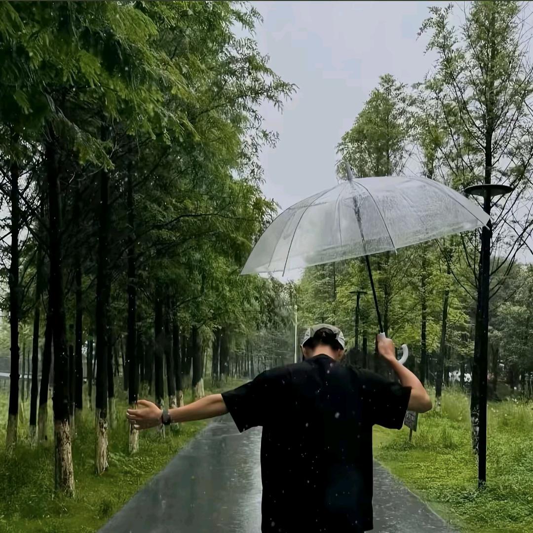 波波来了