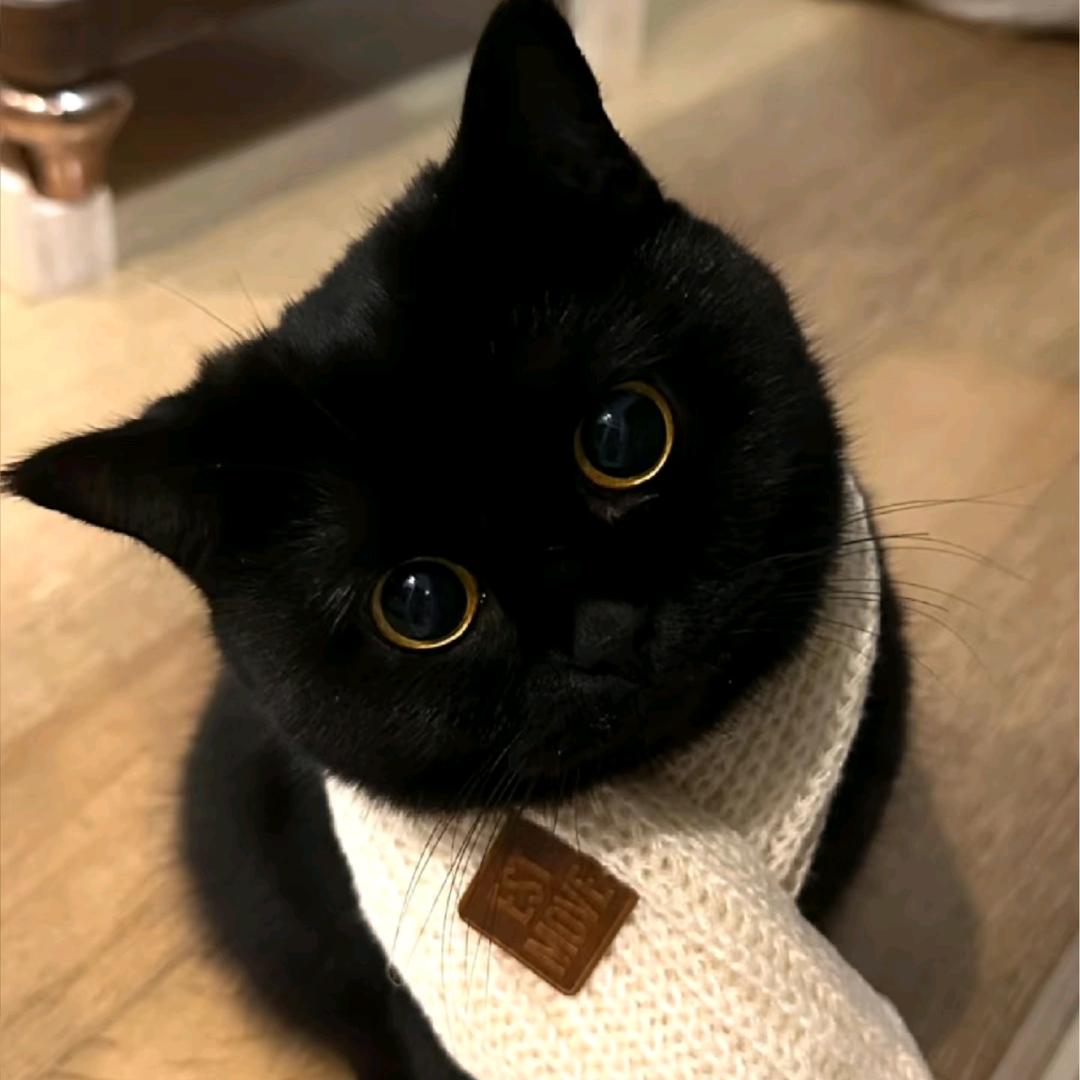 一颗豆丁leづ ♡ど💤