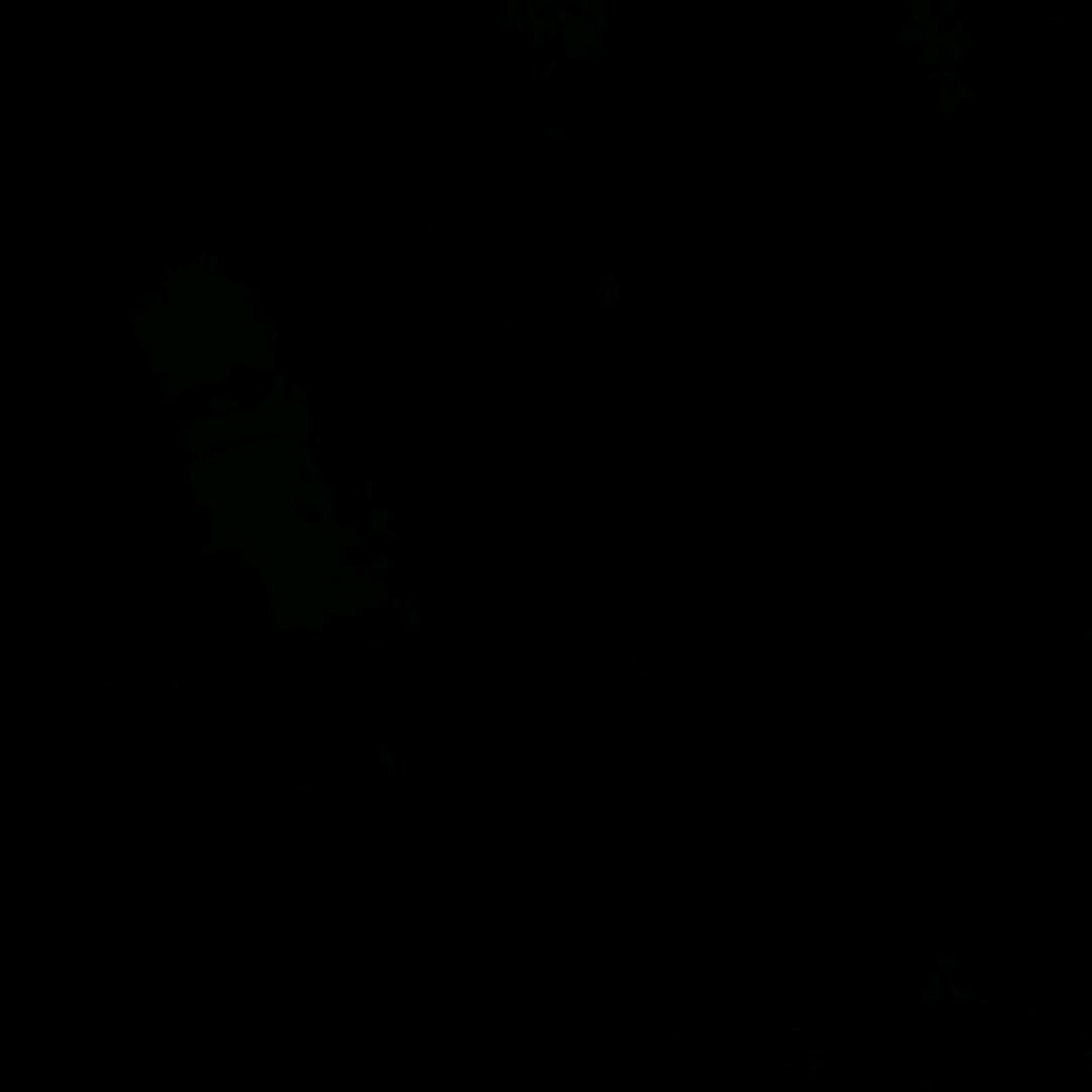 lmvgf