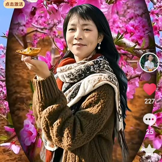 一帆风顺、53年蛇