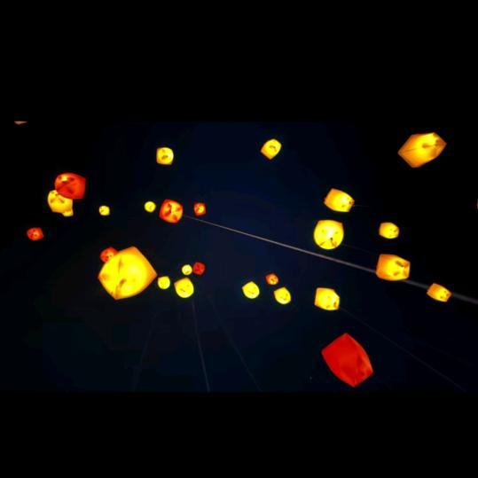 🌈……&樱花之恋&