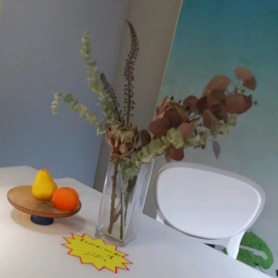 牡丹花💐💐💐💐💐💐