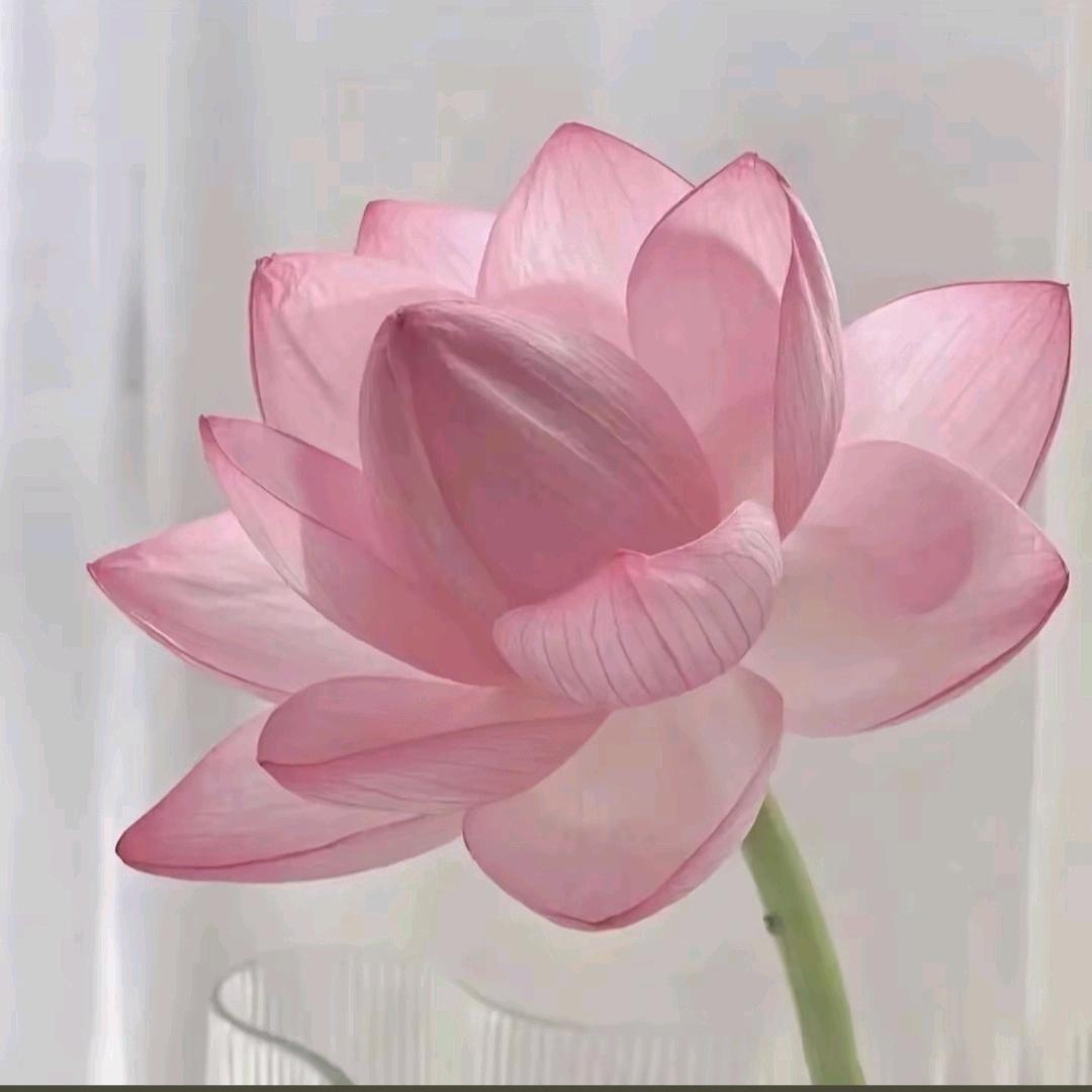 最熟悉的陌生人