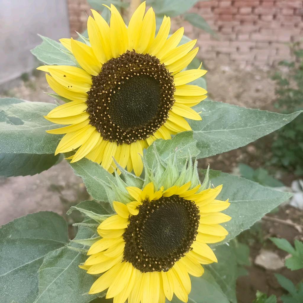 好运✺◟(∗❛ัᴗ❛ั∗)◞✺不段