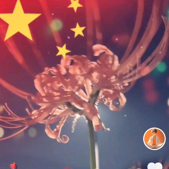 @༻ღ🐯小王এ²º²¹：💞ꦿ