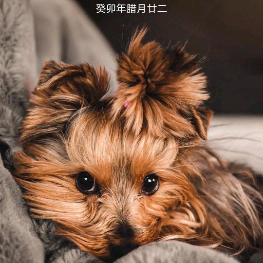 平安是福