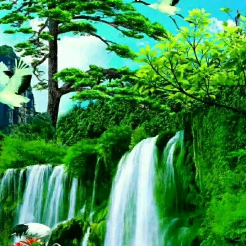 下定决心忘记你