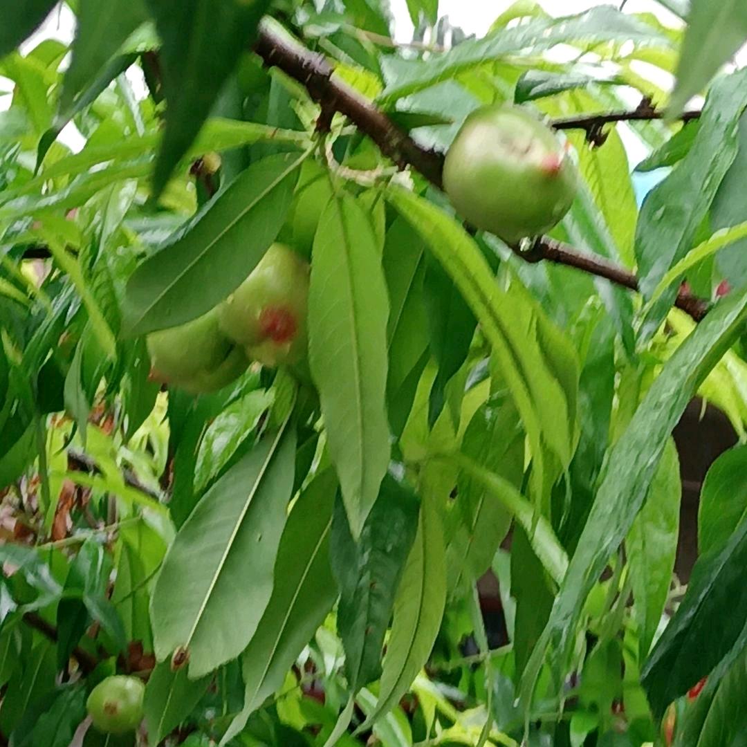 健康开心每一天